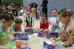 Břeclavský sněhulák 2013