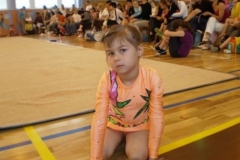 Brno - oblastní přebor ZP - 24.5.2009